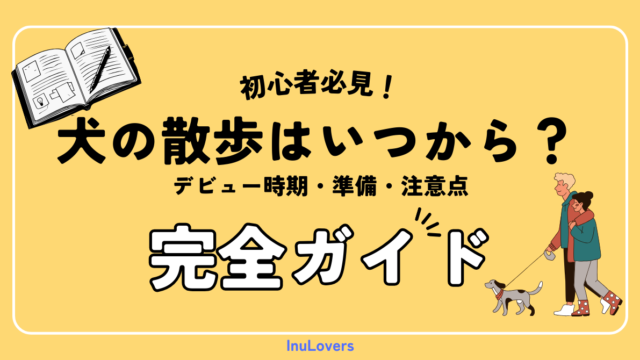 【初心者向け】犬の散歩はいつから？デビュー時期・準備・注意点を“迷わずわかる”完全ガイド