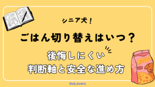 シニア犬のごはん切り替えはいつ?|後悔しにくい判断軸と安全な進め方