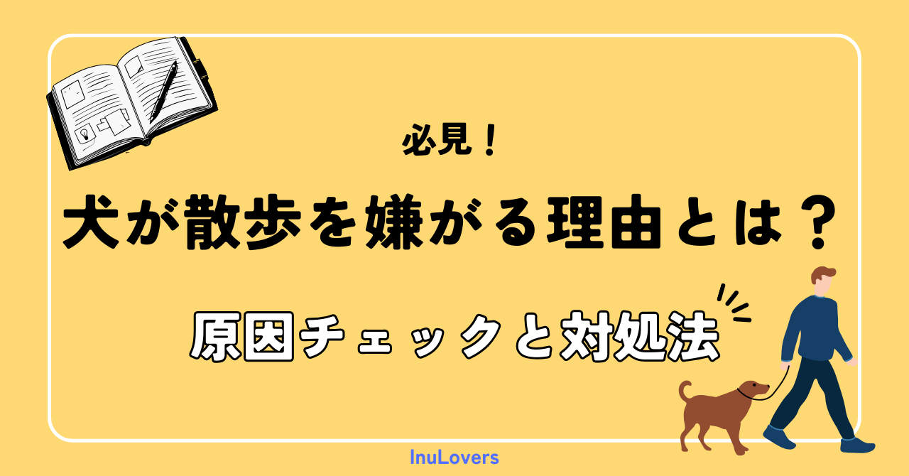 犬が散歩を嫌がる理由とは？叱る前に知っておきたい原因チェックと対処法