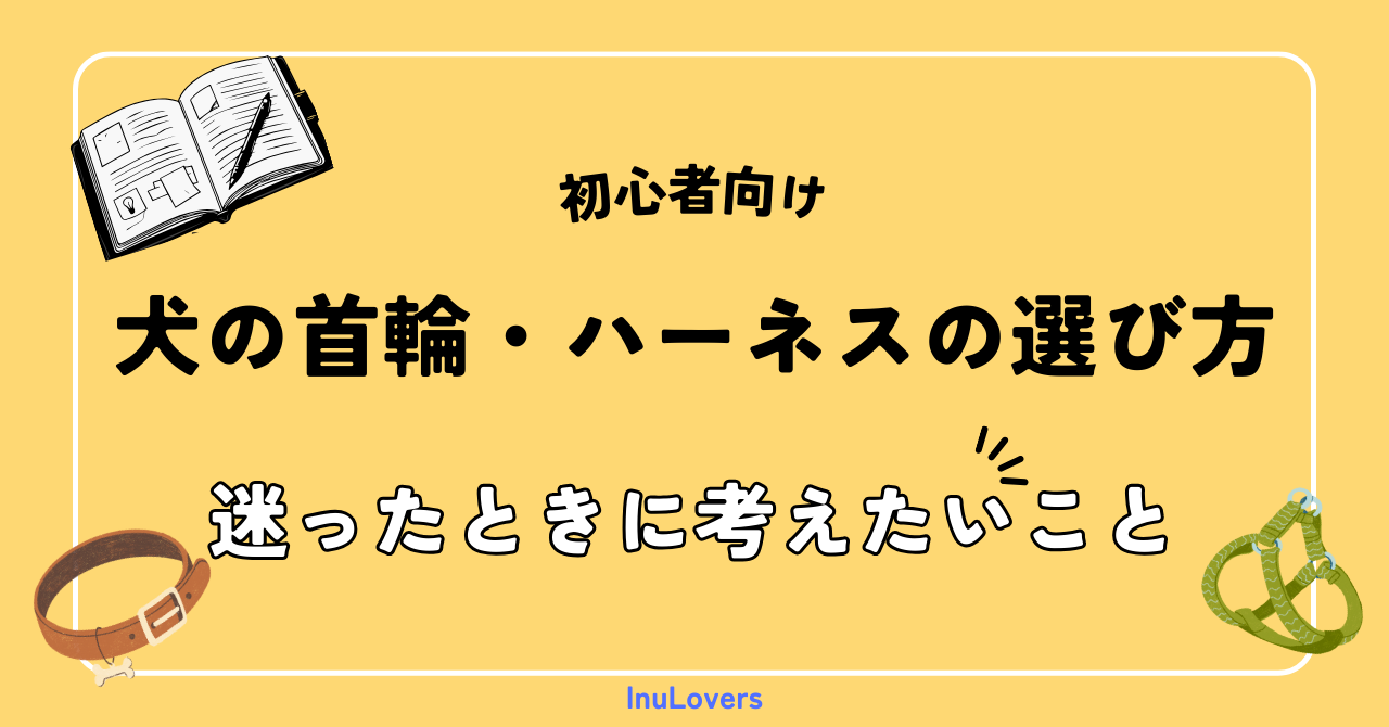 犬の首輪・ハーネスの選び方｜迷ったときに考えたいこと